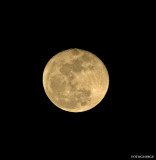 full-moon_DSC007289.jpg