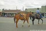 QuarterHorseChampTeamRoper_DSC2331.jpg