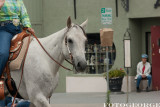 EquestriansGreenStockings_DSC2765.jpg