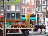 Horse drawn beer wagon in the streets of Amsterdam NL