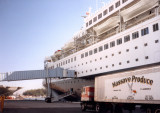 Westerdam
