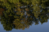 Last days of summer