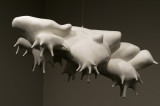 Seven cows in the clouds?