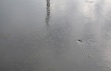 The crossing is wide