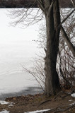 The boat ramp