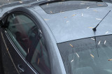 Clean bug
