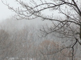 another snowy day