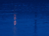 blue light special