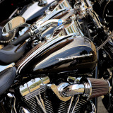Harley-St-Tropez-1140289.jpg