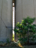 20120818-9215 Brinkley AR.jpg