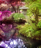 Den Haag Japanese Garden
