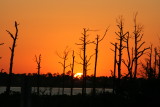IMG_4763.JPG