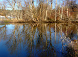 Issaquah Creek