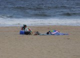 beach lover 2.jpg