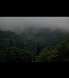 monsoon in Tuscany 