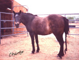 Change