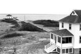 assateague1.jpg