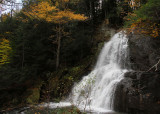 IMG_7300apr.jpg