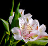 TC2_6436.jpg