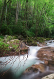 Big Creek, looking upstream from Mouse Creek Falls