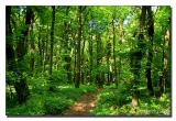 Balaton Nature Reserve