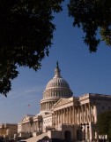 Washington DC on September 24 R1012507.jpg