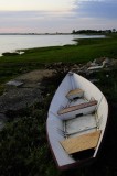 pbase May 12 2009 Plum Island _DSC4732.jpg