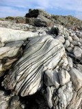 pbase S October 10 2009 2nd beach Middletown RI IMG_0028.jpg