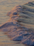 pbase pounding surf  August 8 2010 1 of 1.jpg