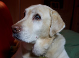pbase Gabi on  December 10 2010 1 of 1.jpg