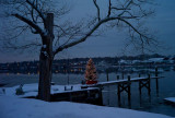 pbase Xmas tree on the dock 1-25-11 1 of 1.jpg