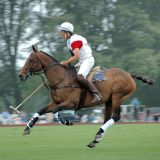 Polo on July 22 2006.jpg