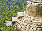 Cistern and bluebonnets