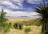 Landscape #2, Davis Mountinas State Park