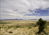 Landscape #3, Davis Mountinas State Park