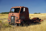 International truck in field