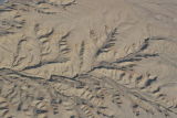 Desert floor