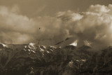 07-03-31-0943.JPG