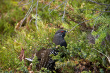 PEI_2103a.JPG