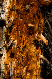 PEI_2109a.JPG