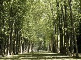 10-07-20H-0252a.JPG