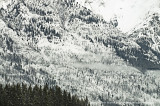 11-02-04-073a.jpg