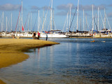 Dog beach, Middle Brighton