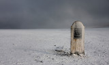 William Braines Grave