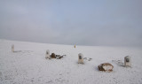 Franklin Expedition Graveyard