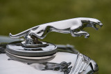 50 Jaguar MK V