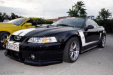 Mustang powered by Roush