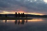 Yellowstone_0469.JPG