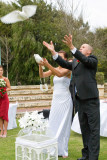 The Ceremony
