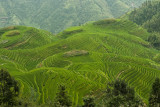 Long Ji Rice Terraces (Pingan)